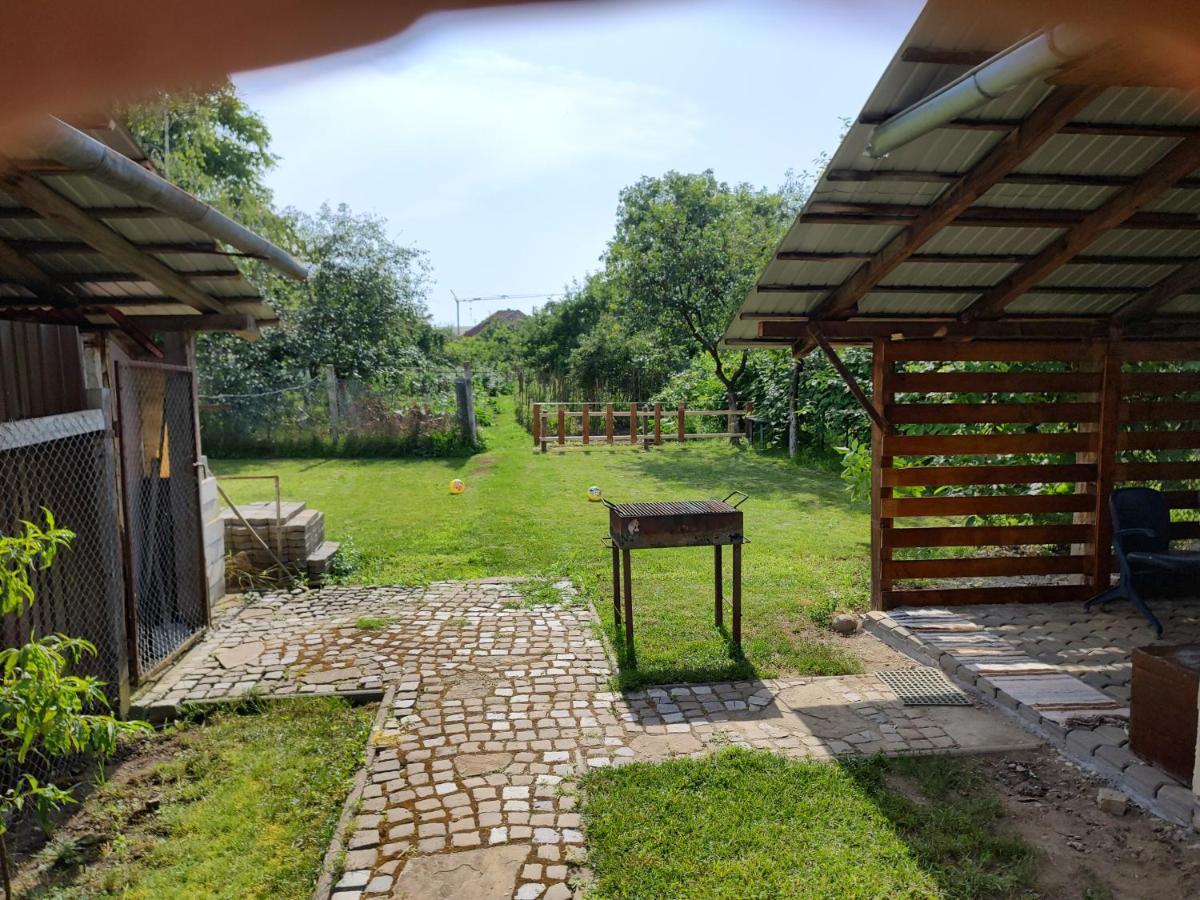 FăgăraşVicky Houseアパートメント エクステリア 写真