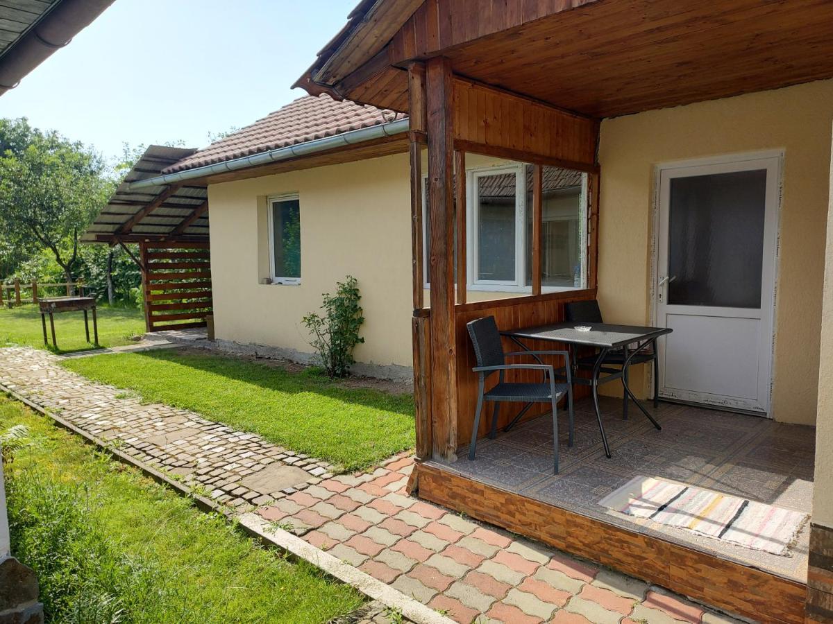 FăgăraşVicky Houseアパートメント エクステリア 写真